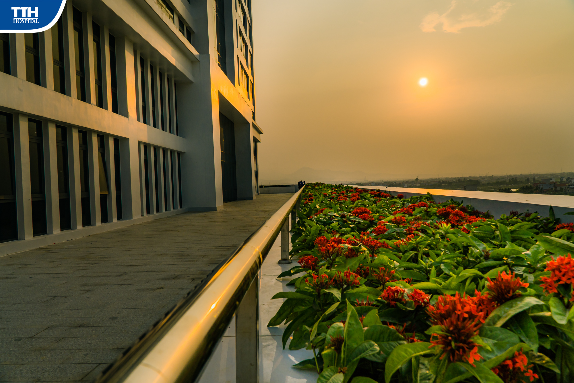 Phòng VIP 1 giường