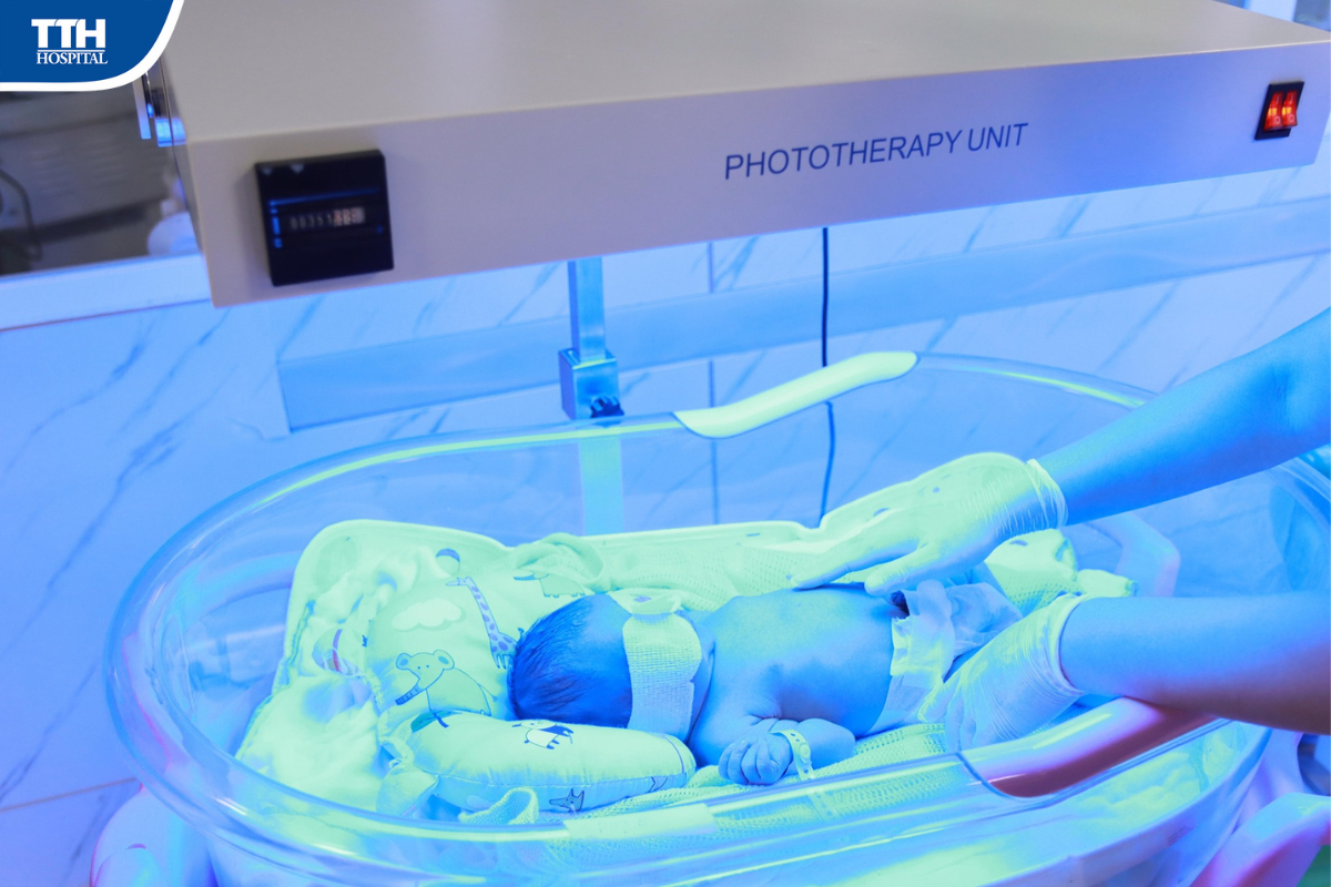 Hệ thống nha nhi